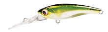 TANGO SHAD2