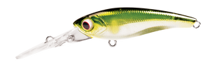 TANGO SHAD2