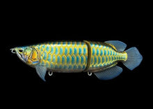 SUMERAGI AROWANA