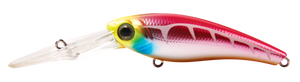 TANGO SHAD2