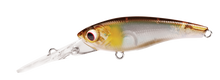 TANGO SHAD2