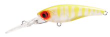 TANGO SHAD2