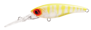 TANGO SHAD2