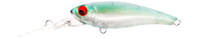 TANGO SHAD2